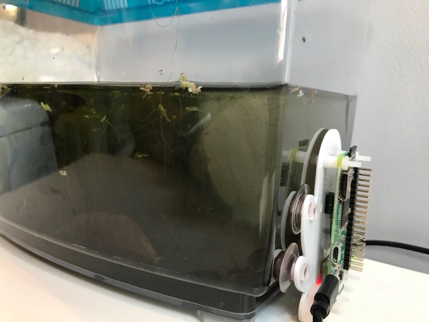 Tadpole camera setup