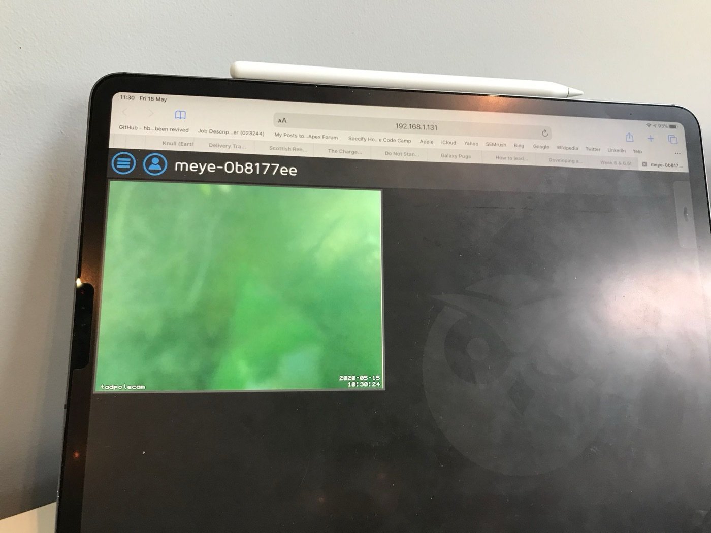 Tadpole camera close-up