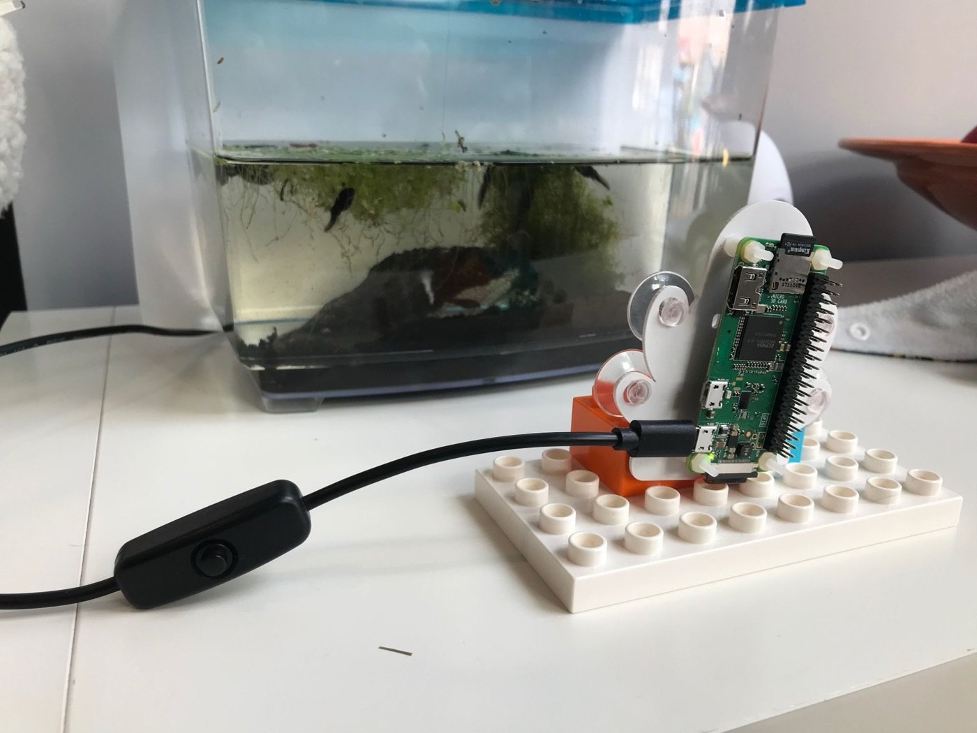 Tadpole camera Duplo mount