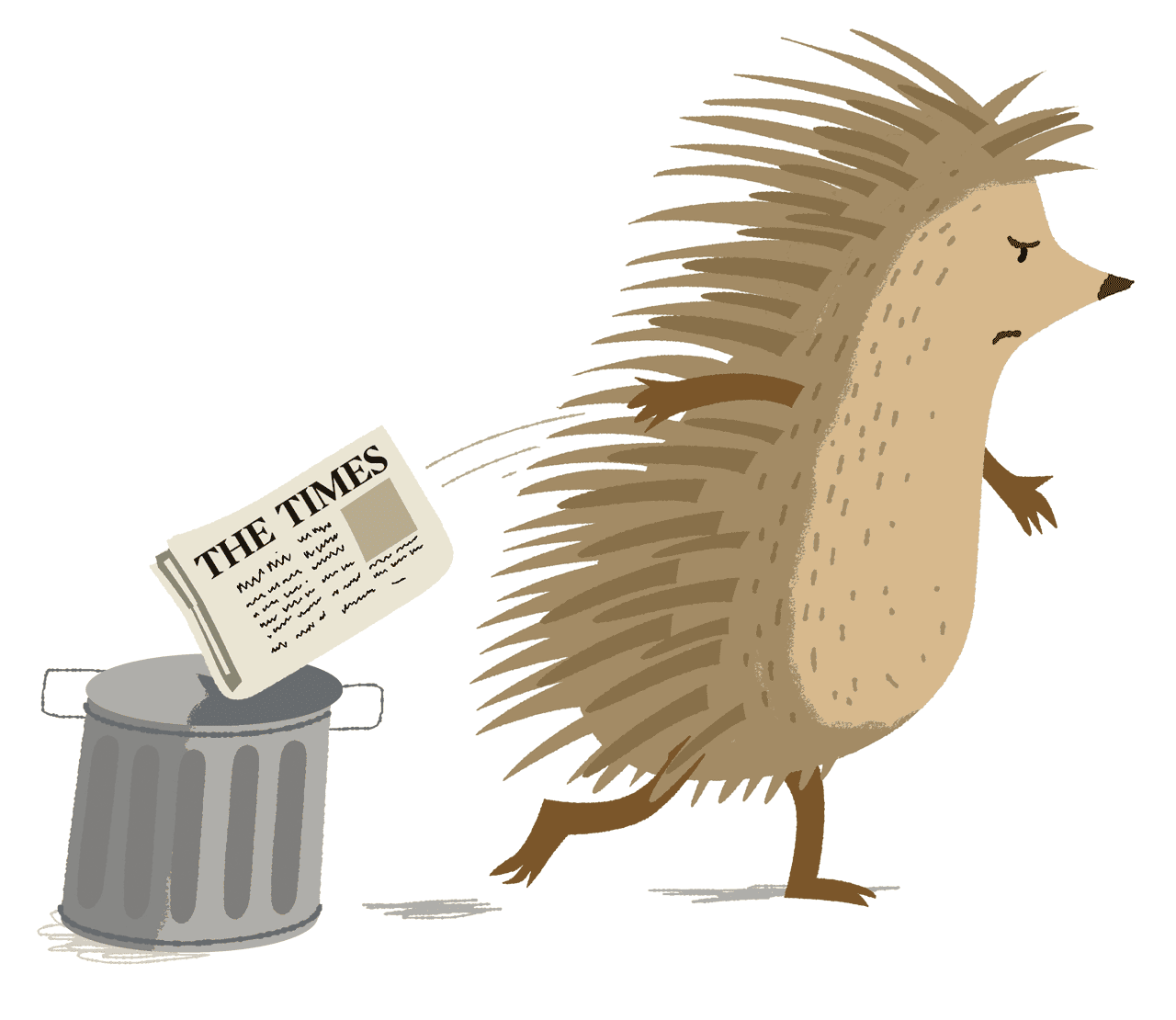 Hedgehog illustration